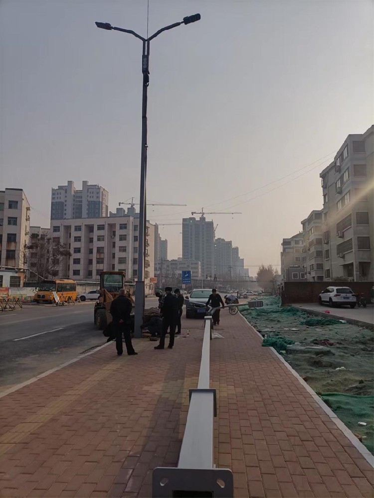 東阿市政路燈案例